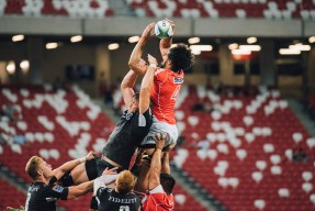 米兰体育在线下载-F1圣保罗站赛前展望：诺里斯抢占先机，维斯塔潘坐看迈凯伦内斗，圣保罗vs弗拉门